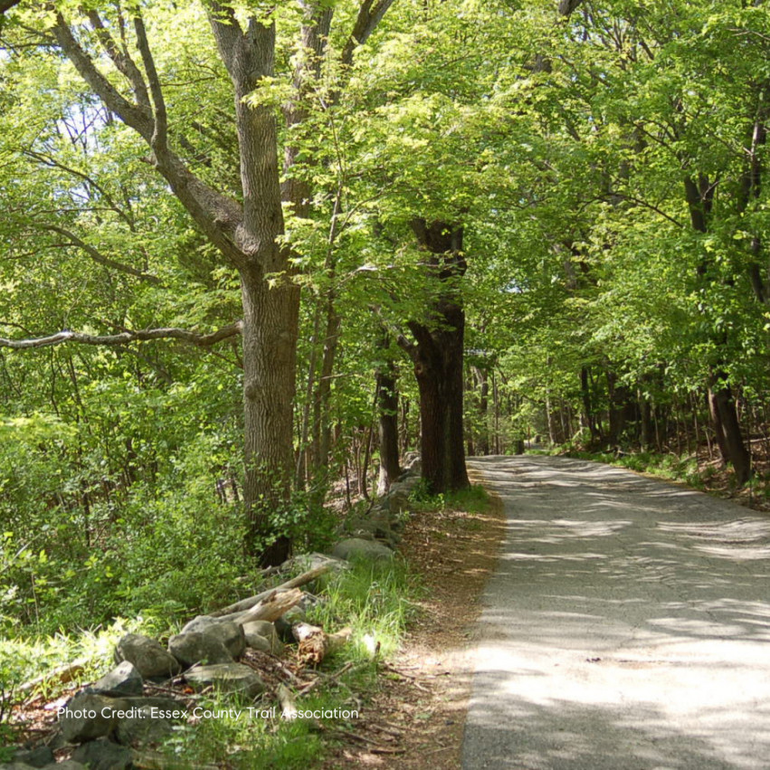 Ipswich River Wildlife Sanctuary